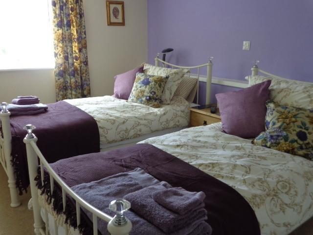 Lodge House B&B Buckland St Mary Szoba fotó